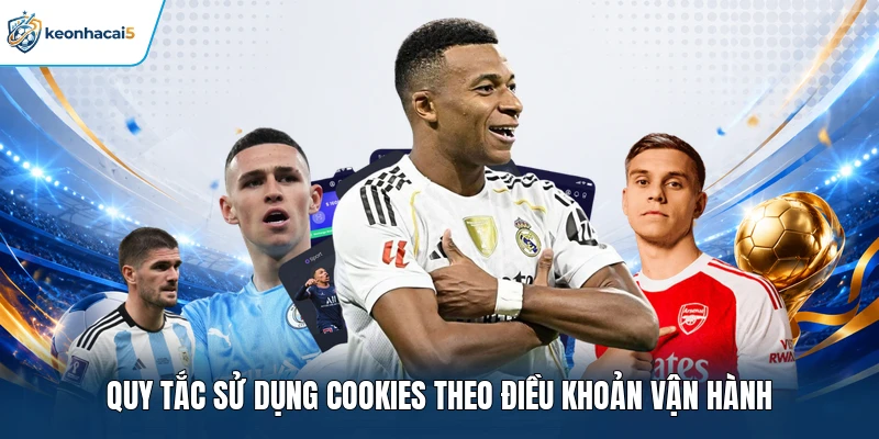 Chính Sách Bảo Mật Keonhacai5 - Bản Cam Kết Toàn Diện 2 Quy tắc sử dụng cookies theo điều khoản vận hành