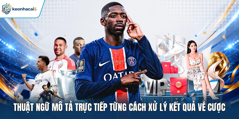 Thuật Ngữ Cá Cược Và Cách Hiểu Chính Xác Khi Xem Kèo 3 Thuật ngữ mô tả trực tiếp từng cách xử lý kết quả vé cược